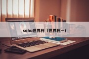 sohu世界杯（世界杯一）