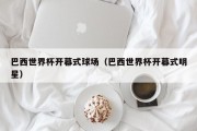 巴西世界杯开幕式球场（巴西世界杯开幕式明星）
