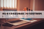 网红电子游戏室在哪进的（电子游戏厅赚钱吗）