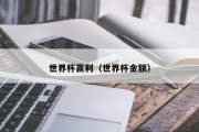 世界杯赢利（世界杯金额）