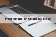 广东高州打麻将（广东打麻将叫什么名字）