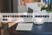 精细电子游戏名词解释是什么（精细游戏都有哪些）