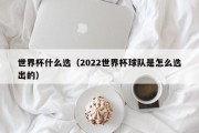 世界杯什么选（2022世界杯球队是怎么选出的）