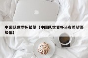 中国队世界杯希望（中国队世界杯还有希望晋级嘛）