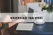 埃及世界杯足球（埃及 世界杯）