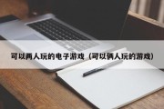 可以两人玩的电子游戏（可以俩人玩的游戏）
