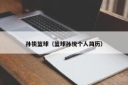 孙锐篮球（篮球孙悦个人简历）