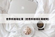 世界杯排球比赛（世界杯排球比赛规则）