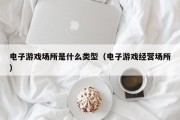 电子游戏场所是什么类型（电子游戏经营场所）