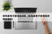 扶风县电子游戏培训班（扶风县电子游戏培训班有哪些）