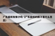 广东麻将有懒子吗（广东麻将的赖子是什么意思）