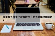 哪里有各种电子游戏软件（电子游戏软件网站）